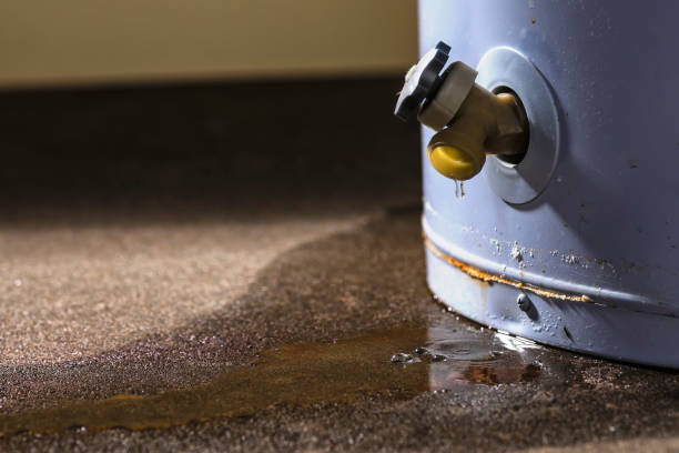 Best Water damage restoration experts  in Reidville, SC