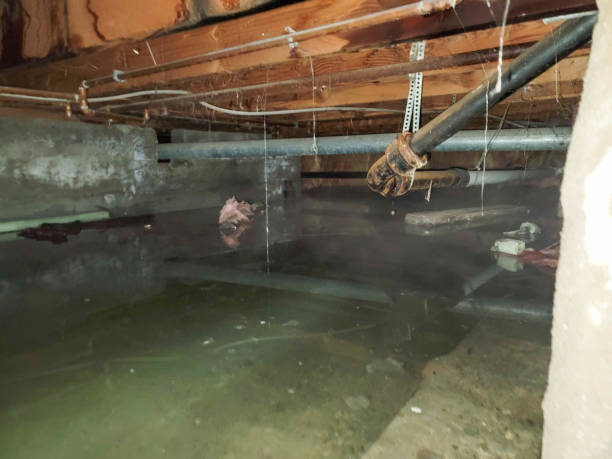Trusted SC Water damage restoration Experts