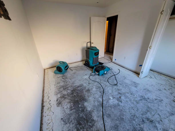 Best 24-hour water damage restoration  in Reidville, SC