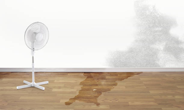 Best Water damage restoration process  in Reidville, SC