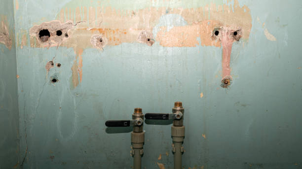 Best Water damage restoration services  in Reidville, SC