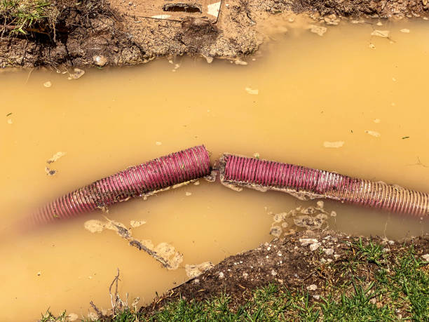 Water damage restoration process in SC
